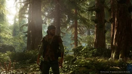 Days Gone — Screenshoty