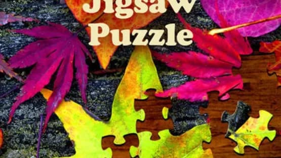 Jigsaw Puzzle Pro — Screenshoty