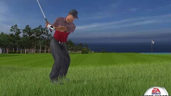 Tiger Woods PGA Tour 2005 — Screenshoty