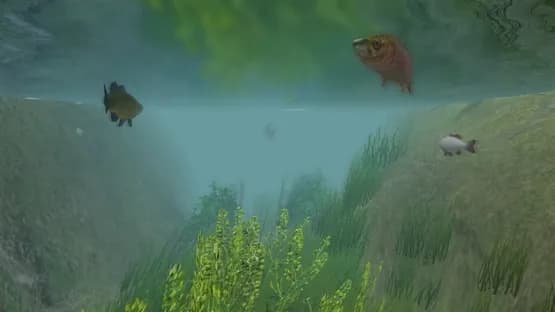 European Fishing — Screenshoty