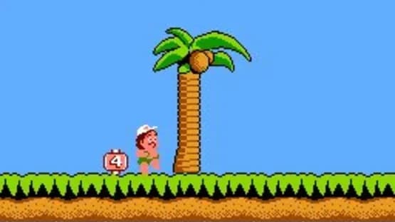 Hudson's Adventure Island — Screenshoty
