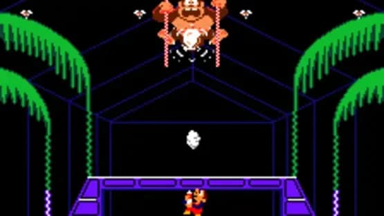 Donkey Kong 3 — Screenshoty