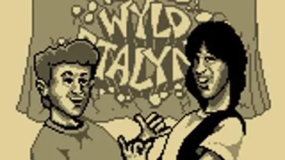 Bill & Ted's Excellent Game Boy Adventure: A Bogus Journey! — Screenshoty