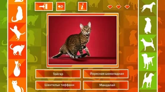 JQ: dogs & cats — Screenshoty