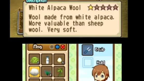 Harvest Moon: The Tale of Two Towns — Screenshots