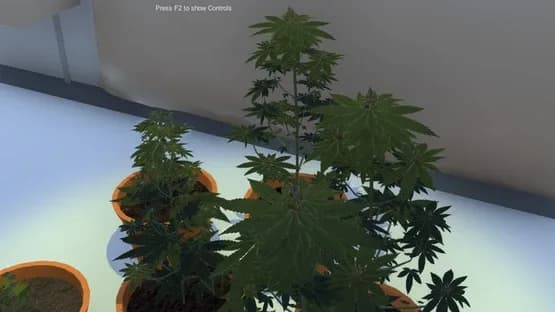 Dr GreenStuff — Screenshots