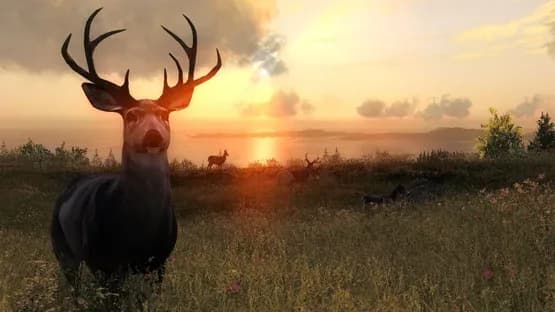 TheHunter Classic — Screenshots
