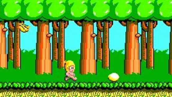 Wonder Boy — Screenshoty