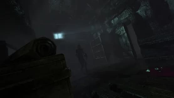 Amnesia: Collection — Screenshoty