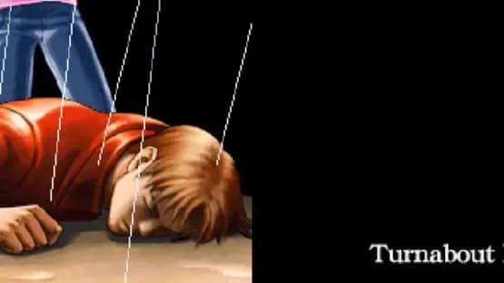 Phoenix Wright: Ace Attorney - Trials and Tribulations — Screenshoty