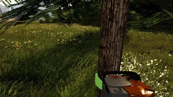 Forestry 2017 - The Simulation — Screenshots