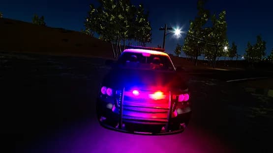 Police Enforcement VR : 1-K-27 — Screenshoty