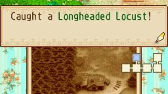Harvest Moon DS: Grand Bazaar — Screenshoty