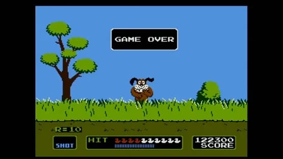 Duck Hunt — Screenshoty