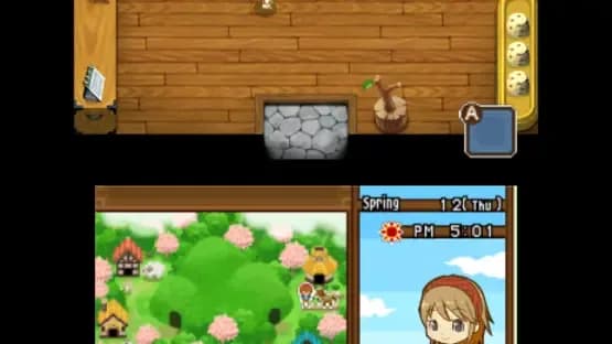 Harvest Moon: The Tale of Two Towns — Screenshots