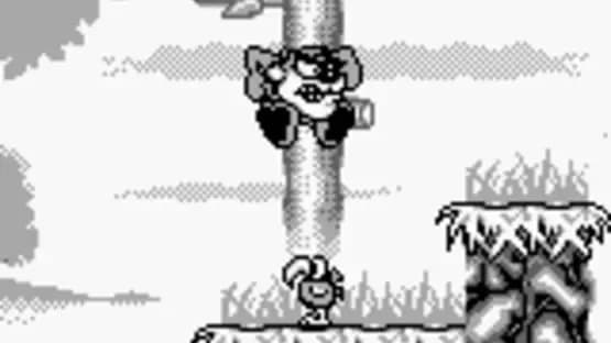 Taz-Mania — Screenshoty