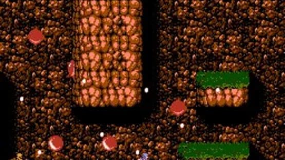 Ninja Gaiden II: The Dark Sword of Chaos — Screenshoty