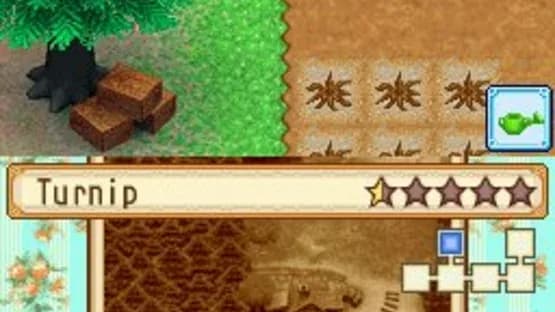 Harvest Moon DS: Grand Bazaar — Screenshoty