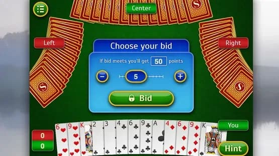 Spades Pro — Screenshots