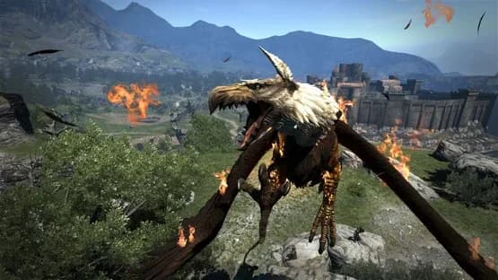 Dragon's Dogma — Screenshoty