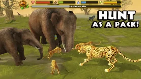 Cheetah Simulator — Screenshoty