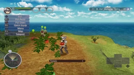 Rune Factory: Tides of Destiny — Screenshoty