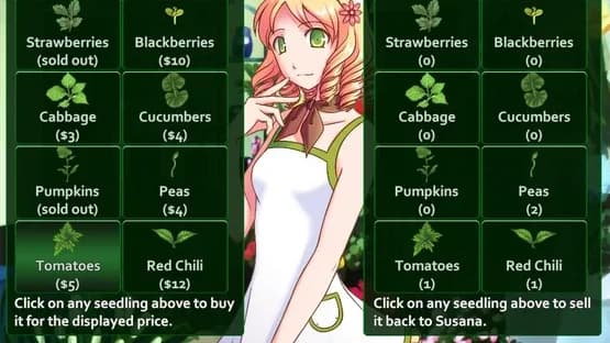 Flower Shop: Summer In Fairbrook — Screenshots