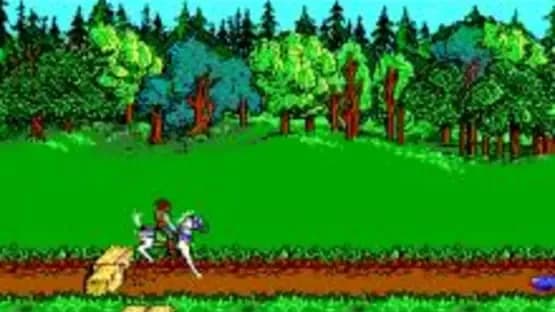 Advanced Dungeons & Dragons: Hillsfar — Screenshoty