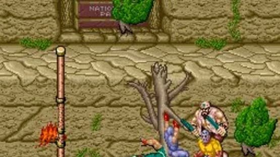 Ninja Gaiden — Screenshoty