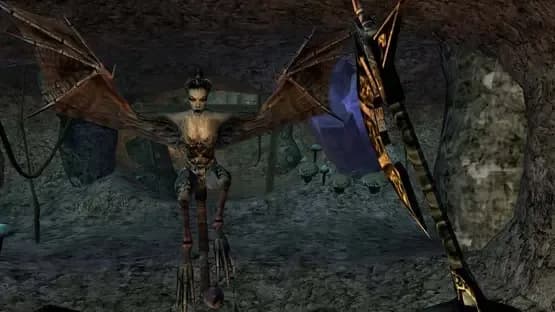 The Elder Scrolls III: Morrowind - Game of the Year Edition — Screenshots