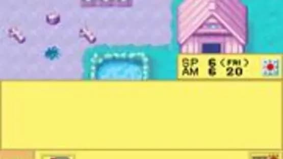 Harvest Moon DS — Screenshoty