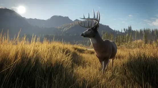 TheHunter: Call of the Wild — Screenshots