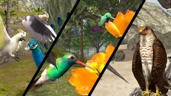 Ultimate Bird Simulator — Screenshots