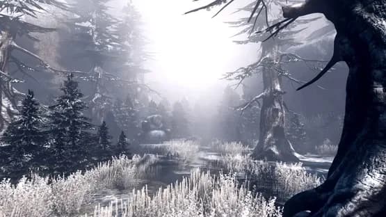 The Incredible Adventures of Van Helsing II — Screenshoty
