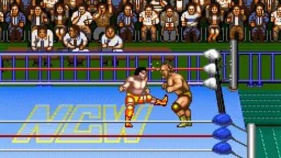 Natsume Championship Wrestling — Screenshoty