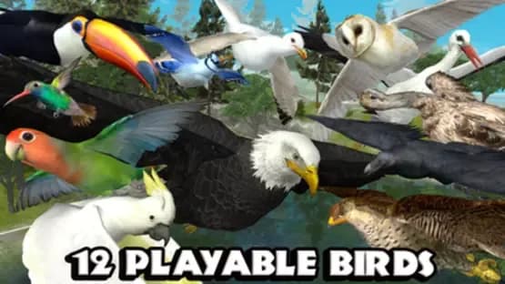 Ultimate Bird Simulator — Screenshots