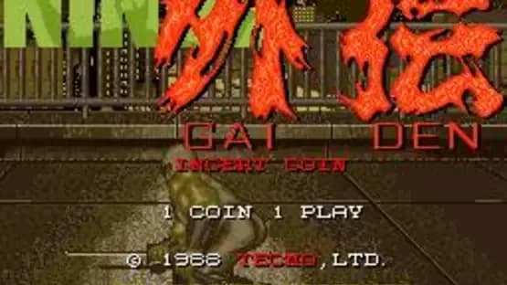Ninja Gaiden — Screenshoty