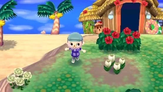 Animal Crossing: New Leaf — Screenshots