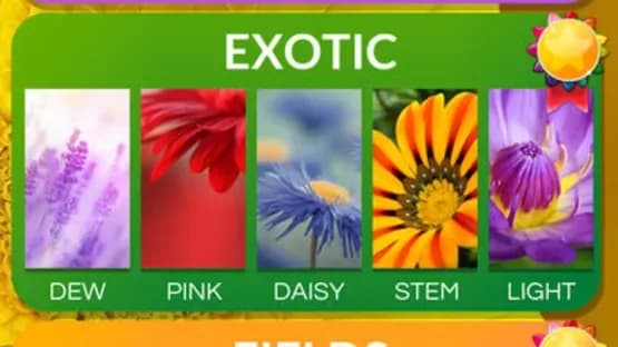 Word Flowers — Screenshoty