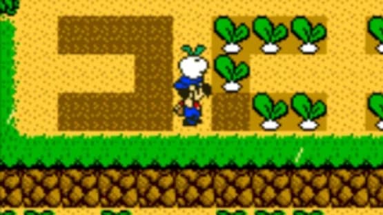 Harvest Moon 3 GBC — Screenshoty