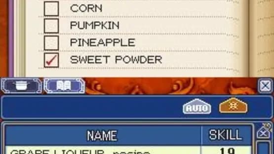 Rune Factory 2: A Fantasy Harvest Moon — Screenshoty