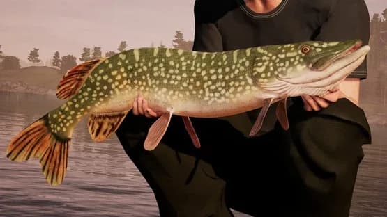 Fishing Sim World: Pro Tour — Screenshoty