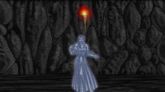 Swords and Sorcery Underworld: Definitive Edition — Screenshoty