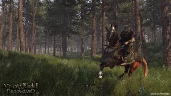 Mount & Blade II: Bannerlord — Screenshoty