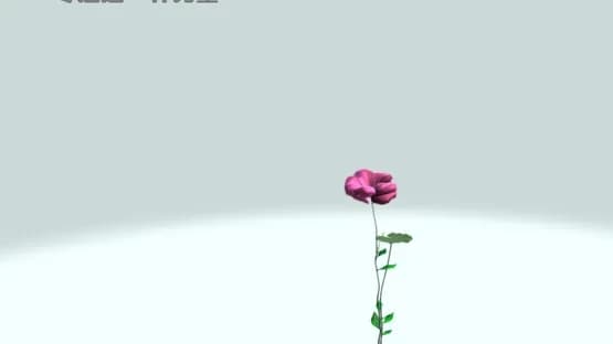 Flower Design — Screenshots