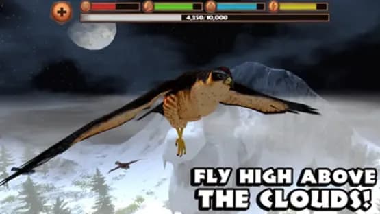 Falcon Simulator — Screenshots