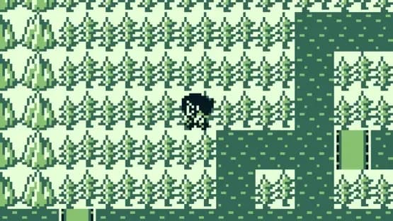 The Final Fantasy Legend — Screenshoty