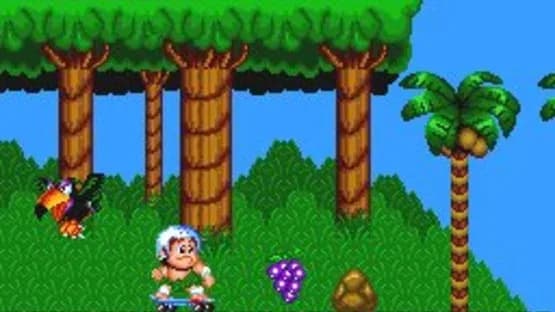 New Adventure Island — Screenshoty