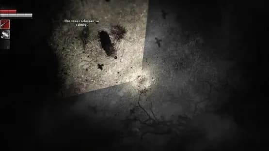 Darkwood — Screenshots