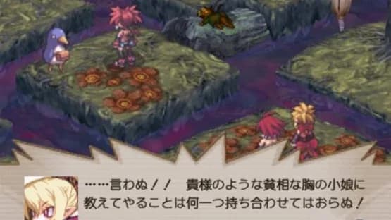 Disgaea 2: Cursed Memories — Screenshoty